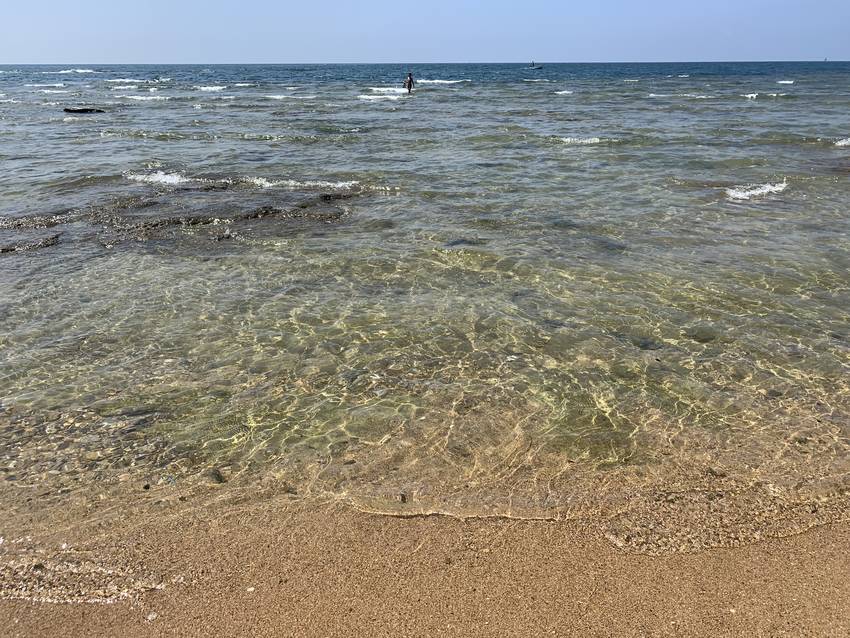 水の透明度は素晴らしかったです