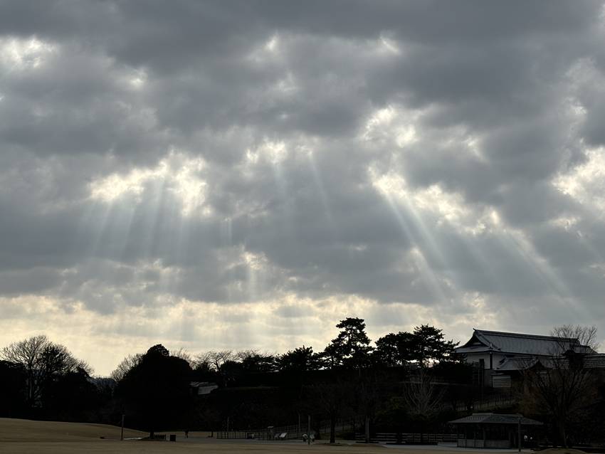 金沢城公園に光のカーテン