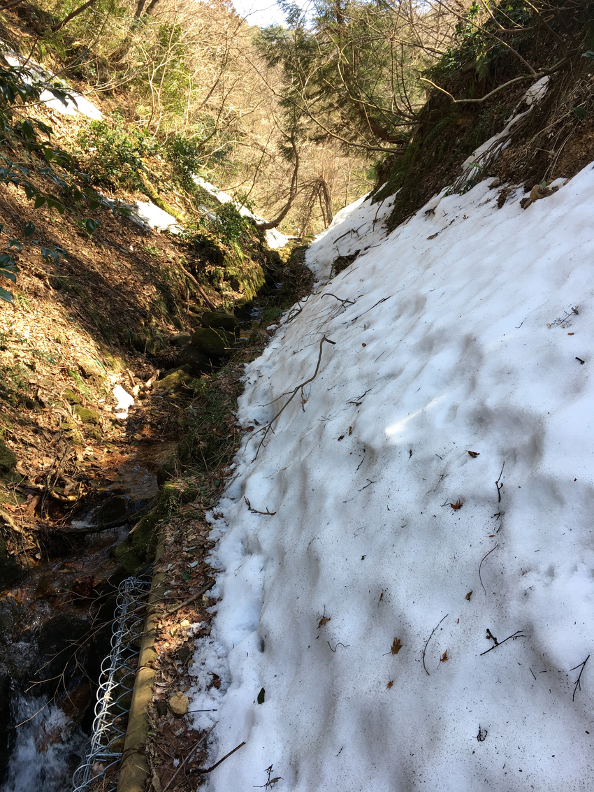 林道から蟹淵に向かうルートはこ...