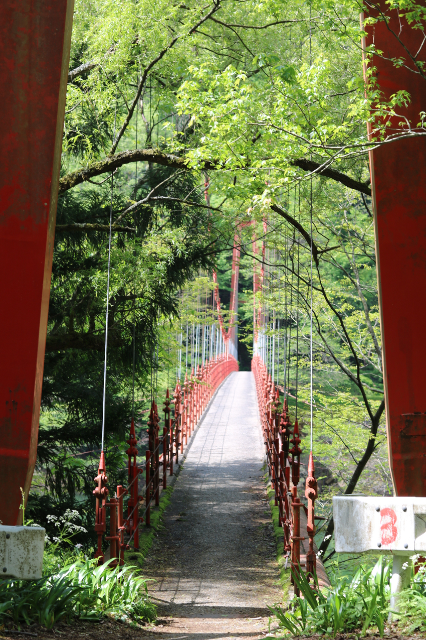 登山口へは、この素敵な吊り橋を...