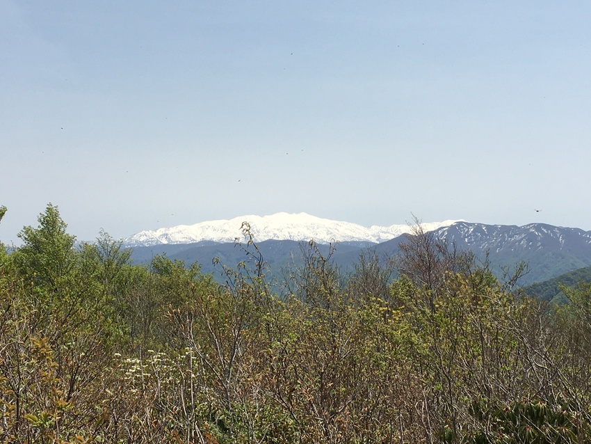 下山途中の前山から撮った白山。...