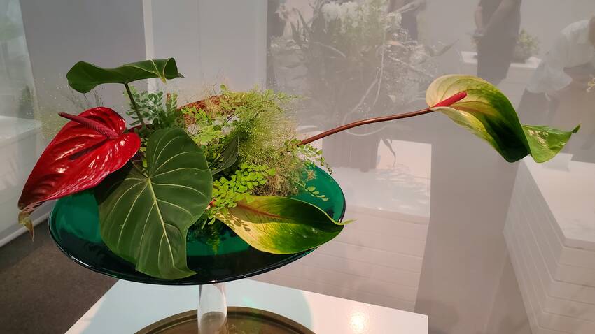 横浜名流華道展
