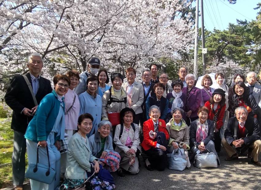 桜の名所　夙川　第12回ふたば...