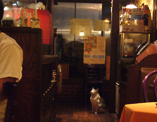 喫茶店にて････。