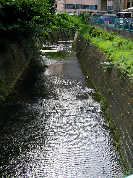 川の流れ････。