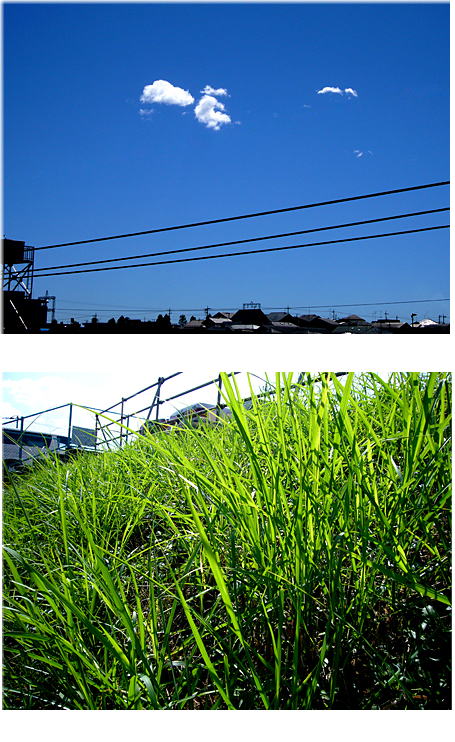 はぐれ雲････。