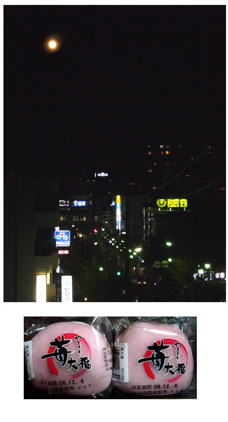 おぼろ月夜には････。