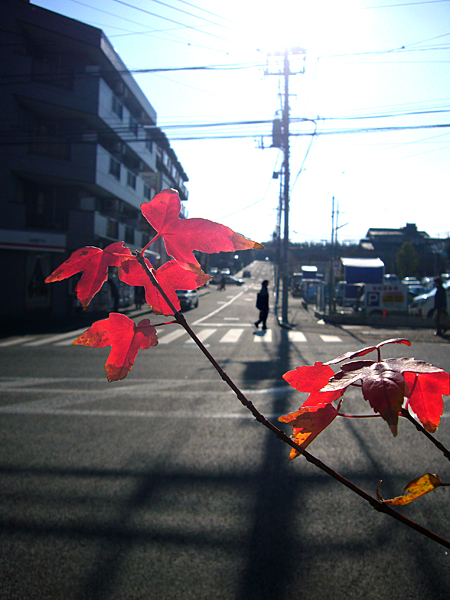 街角の冬････。