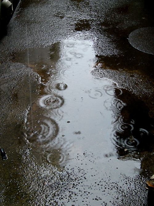 雨の情景