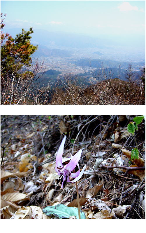 「小楢山」登山より・・・・。