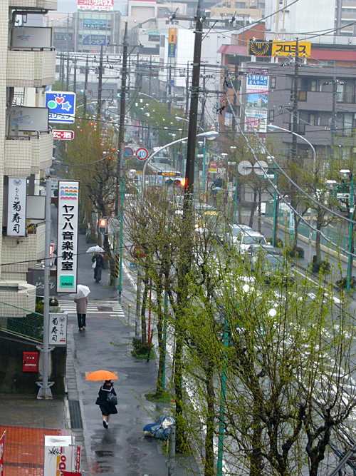 雨の朝にて・・・・。