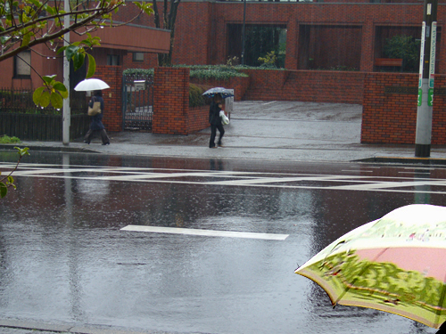 大雨が降った日････。