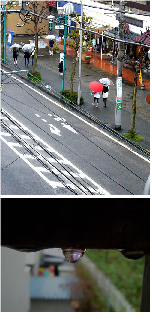 雨の降る日・・・・。