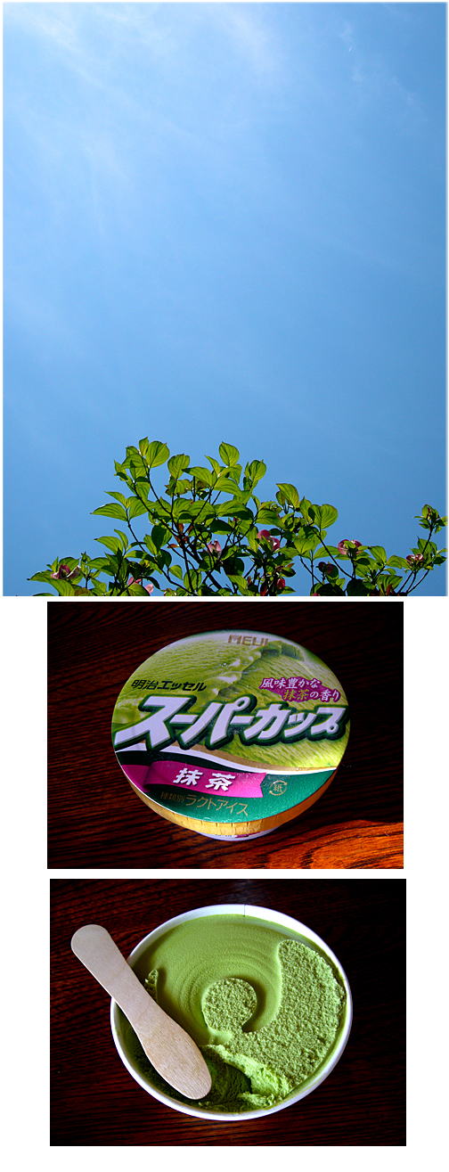 アイスクリームを食べた日。