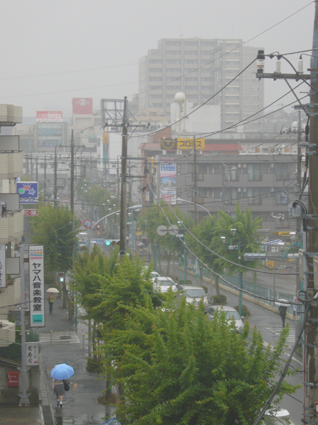 小雨に煙る朝･･･。