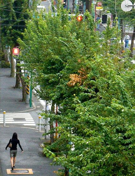街の中で･･･。