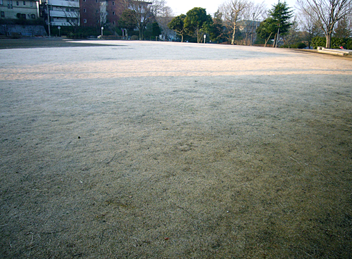 早朝零下の公園にて･･･。