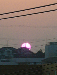 出来ちゃいました･･･。