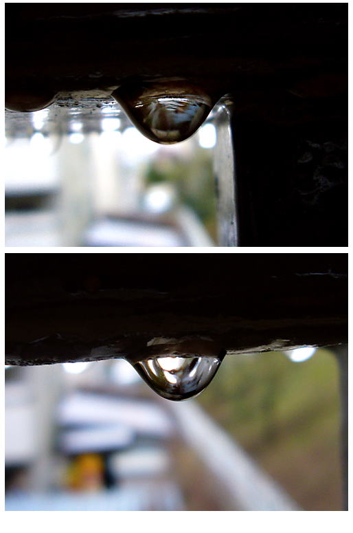 水滴の中の世界は・・・。