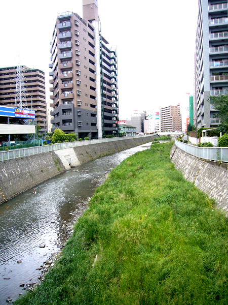 川のほとりには･･･。