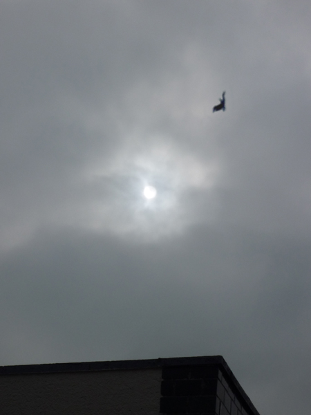 7月1日、大空へ･･･。