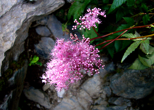 白峰三山縦走記（四）