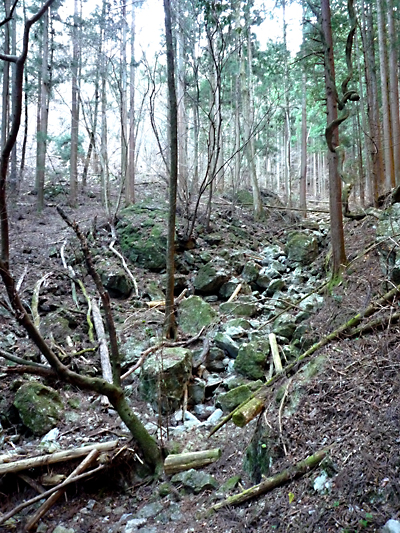 浅間尾根縦走記(二)