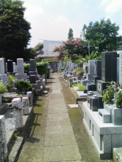 お盆。
