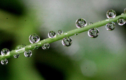 今日の雨の降り残しは･･･。