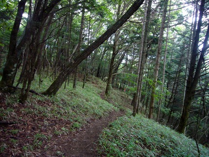 「鳳凰三山」の記･･･(仲道登...