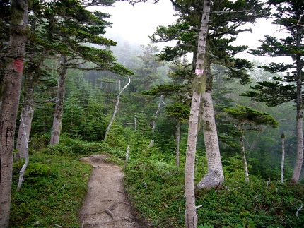 「鳳凰三山」の記･･･(頂上到...