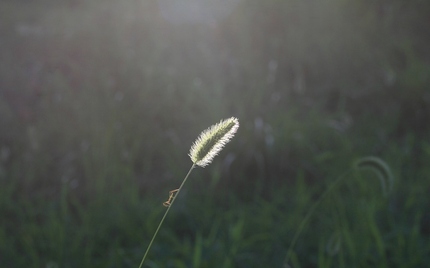 朝陽の中で・・・。