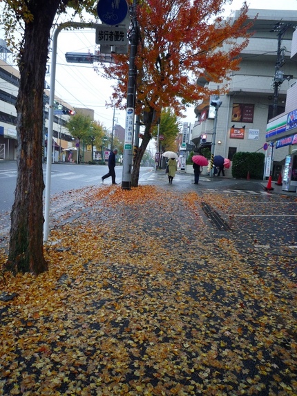 雨の日・・・。