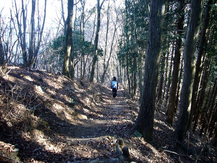 低山逍遥記・・・（最終回）