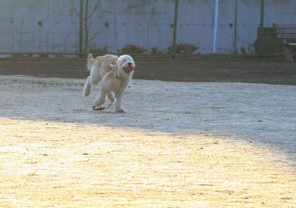 うれしそうだね・・・。
