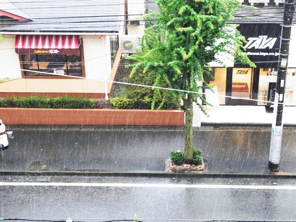台風の雨･･･。