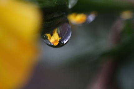 雨が上がって･･･。