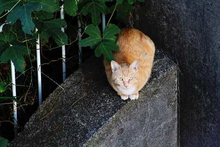 そんなところで・・・。