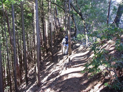 「鹿倉山」枯れ葉踏み踏み記（6...