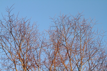 今日も一日・・・。