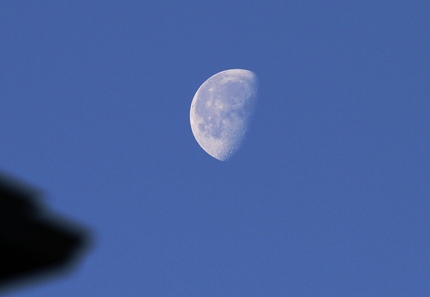 今日の朝の月は・・・。