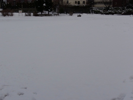 雪のやんだ朝・・・(1)