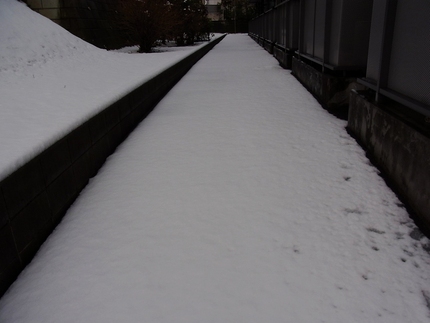 雪のやんだ朝・・・(3)