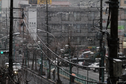 猛烈な雪が降ってきた・・・！！