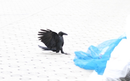 おっと！・・・着地。