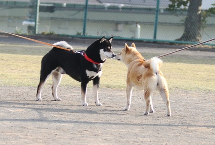どんな関係かな・・・。