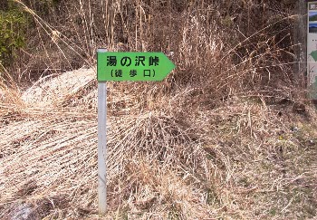早春の山より・・・（１）