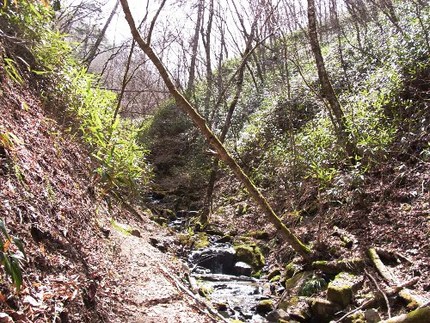 早春の山より・・・（5）