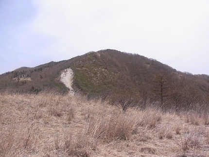 早春の山より・・・（14）