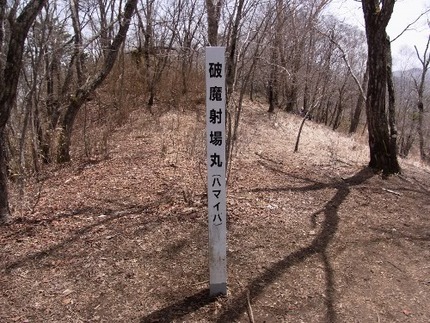 早春の山より・・・（20）